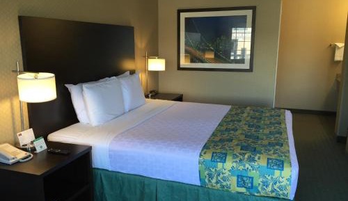 Deluxe King Room - Not Pet Friendly