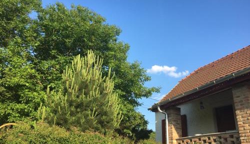 Triple Room with Terrace