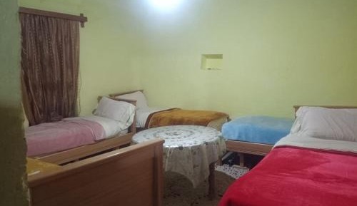 Single Bed in Mixed Dormitory Room
