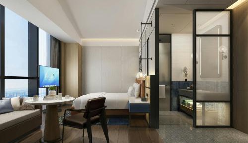 Standard King Room with City View