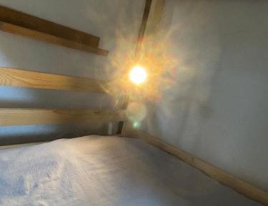 Single Bed in Dormitory Room