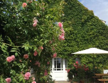 Apartment with Garden View