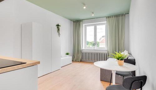 One-Bedroom Apartment with City View