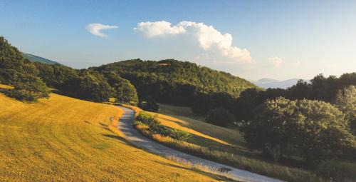 Three-Bedroom Chalet