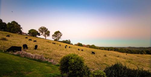 Bungalow with Sea View