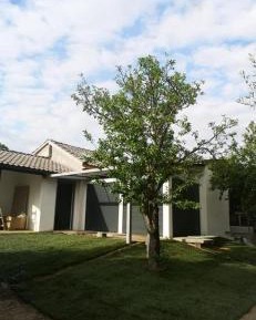 Villa with Garden View