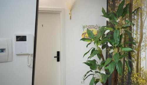 Quadruple Room with Terrace