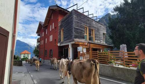 Two-Bedroom Apartment with Terrace