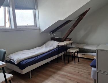 Single Bed in 4-Bed Dormitory Room