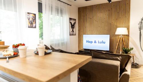 Studio with Sofa Bed
