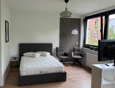 One-Bedroom Apartment with View