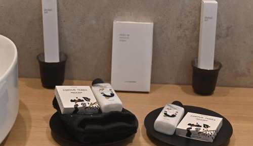 Deluxe Double or Twin Room with Balcony