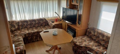 Mobile Home