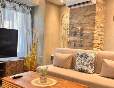 Deluxe One-Bedroom Apartment