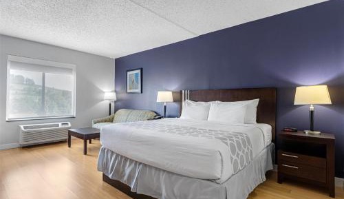 King Suite with Sofa Bed - Pet Friendly