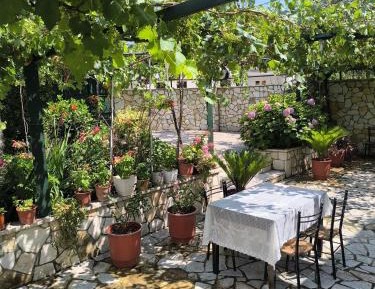 Studio with Garden View