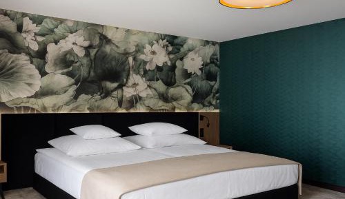 Superior Deluxe Double or Twin Room 