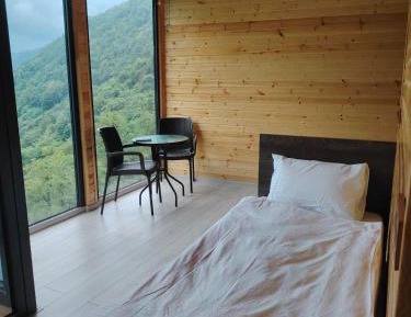 Standard Single Room with Mountain View