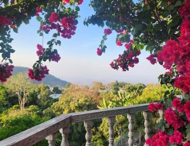 Deluxe Double or Twin Room with Garden View