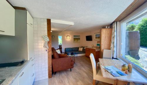 One-Bedroom Apartment with Terrace