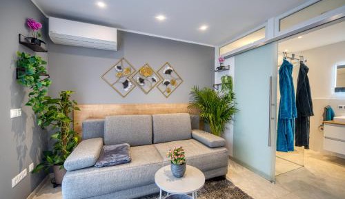 Deluxe One-Bedroom Apartment