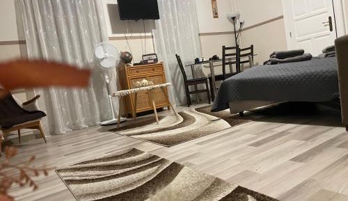 Two-Bedroom Family Apartment
