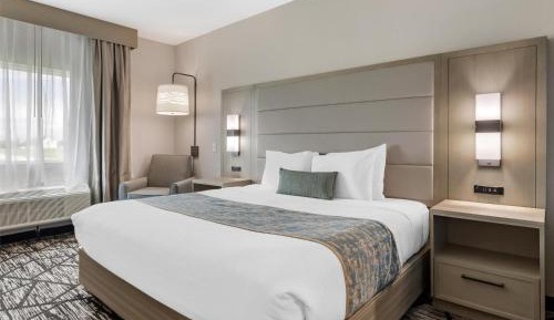 King Room