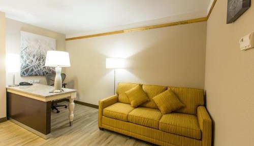 Junior King Suite with Sofa Bed