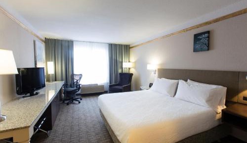 King Room with Roll-In Shower - Mobility Access