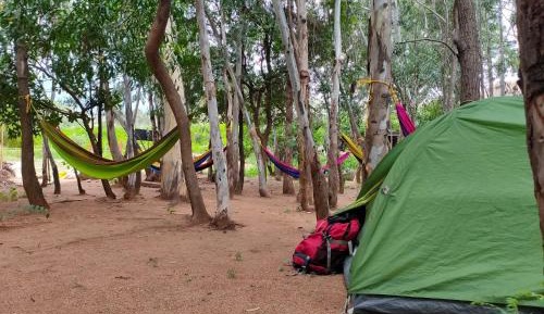 Tent