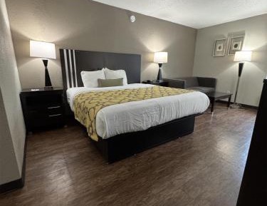 King Room with Sofa Bed - Non-Smoking