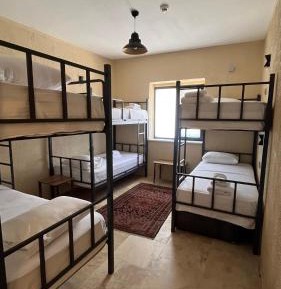 Bunk Bed in Mixed Dormitory Room