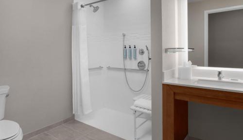 Studio King Room with Sofa Bed - Mobility Accessible with Roll-in Shower