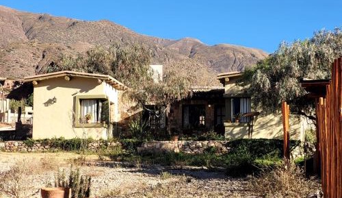 Family Bungalow