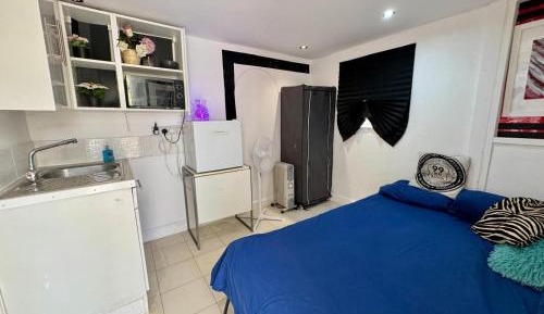 Studio with Garden View