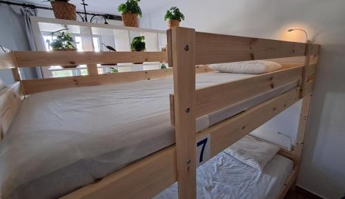 Single Bed in Dormitory Room