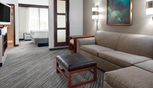 Specialty King Room with Sofa Bed