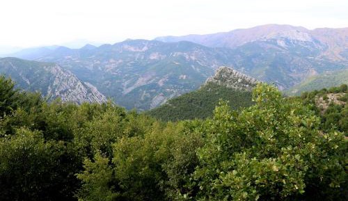 Double or Twin Room with Mountain View