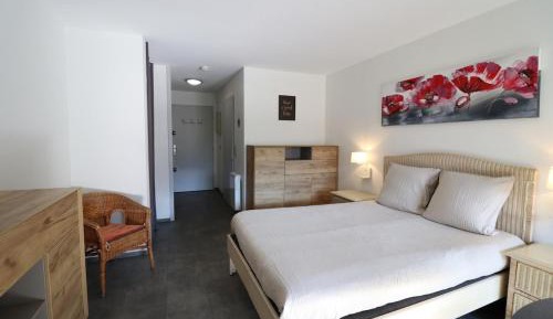 Studio with Mountain View