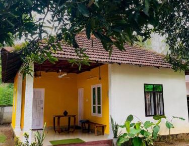 Double Room with Patio