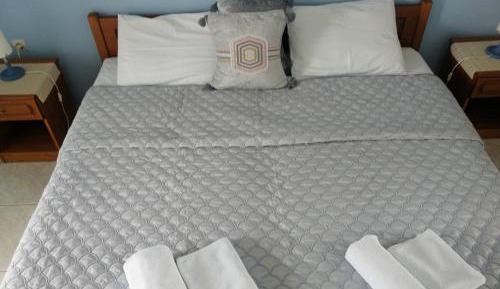 Standard Triple Studio