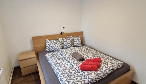 Standard Apartment