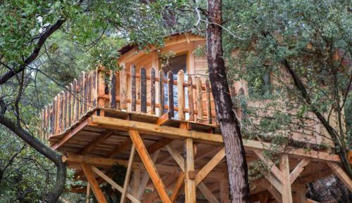 One-Bedroom Chalet
