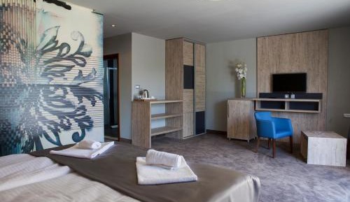 Deluxe One-Bedroom Apartment