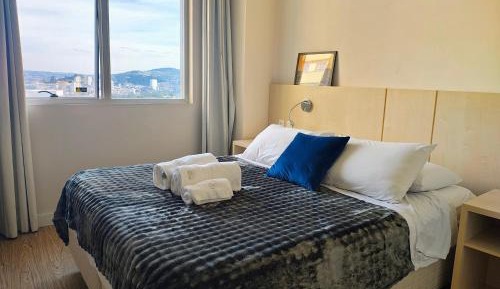 Deluxe One-Bedroom Apartment with City View