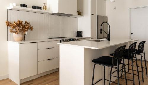 Deluxe One-Bedroom Apartment with City View