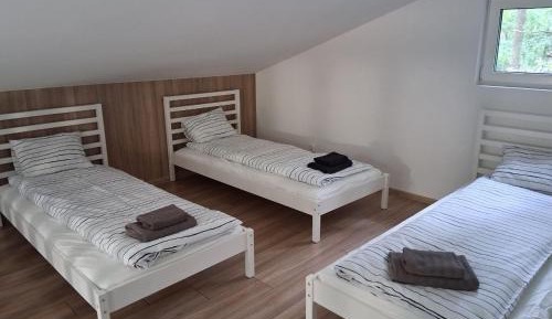 Room #1017501805