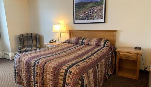 Single Room - Disability Access