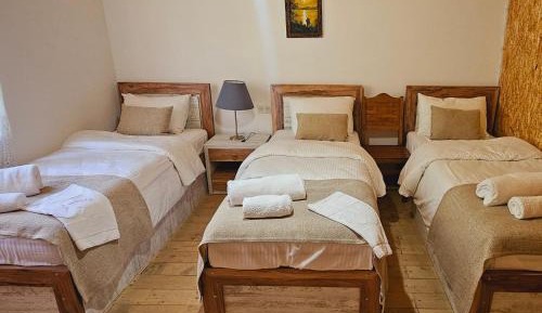 Budget Triple Room