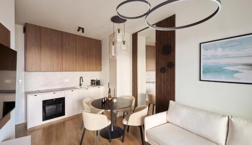 Deluxe One-Bedroom Apartment